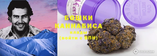 2c-b Белокуриха