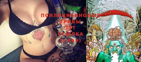соль ск Богородицк