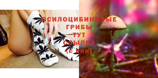 2c-b Белокуриха